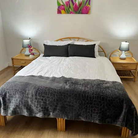 Apartment Zlatan *