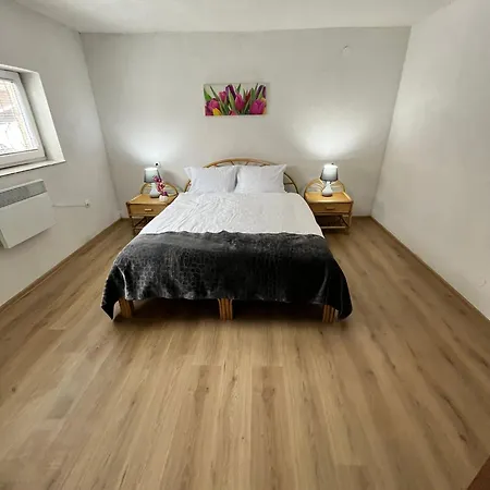 Zlatan Apartment *