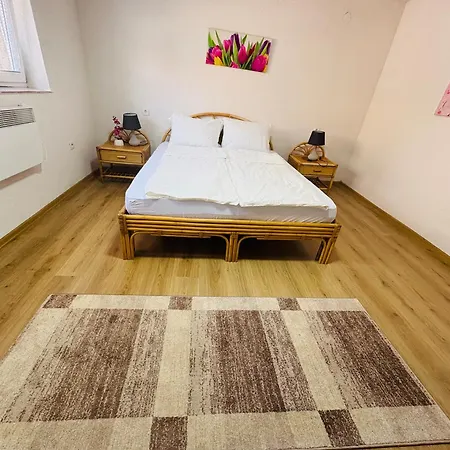 Apartman Zlatan *