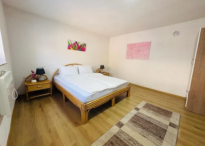 Zlatan * 사라예보